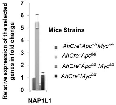 NAP1L1: A Novel Human Colorectal <mark class="highlighted">Cancer Biomarker</mark> Derived From Animal Models of Apc Inactivation